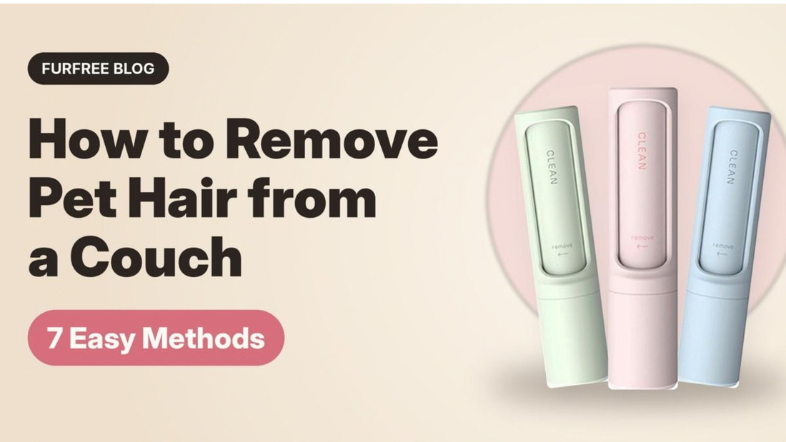 How to Remove Pet Hair from a Couch: 7 Easy Methods